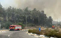 שריפת רכב סמוך למחלף שמשון התפשטה לשטחי יער