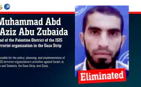 IDF eliminates top ISIS leader in Gaza strike