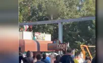 רגעי חרדה בפארק השעשועים