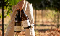 כולם מדברים על יין, אבל מי באמת מבין?