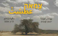 اللحن الحسيدي يلتقي العربية في صلاة موسيقية