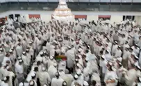 «Как вернуть изучение Торы в жизнь взрослых»