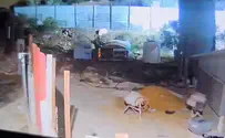 Watch: Arabs shoot at Israeli civilians near Evyatar