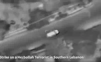 IDF eliminates Hezbollah operative in southern Lebanon