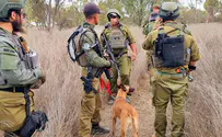 צילום: יכ''ל כך תחזקו את יחידת הכלבנים