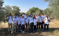 Birthright Israel Birthright launches first post-war Israel trip season