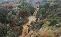 Watch: Sa'ar waterfall begins flowing after rainfall