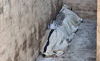Temple Mount: Antiquities Authority re-covers temple remains
