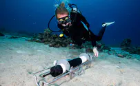 Scientists reveal the microbial pulse of a coral reef in the Gulf of Aqaba