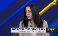 עינב צנגאוקר: "רצה לפוליטיקה"
