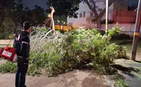 צילום: דוברות מד"א Heavy winds sweep across Israel - two injured
