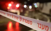 Palestinian driver hits Israeli attempting to block road