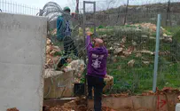 Israeli activists plant trees in southern Lebanon