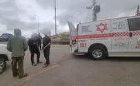 Masked Arabs attack a shepherd in Gush Etzion