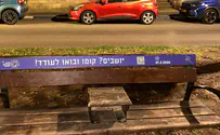 צילום: באדיבות עיריית תל אביב - יפו מרתון ת"א - אירוע הספורט הגדול אי פעם