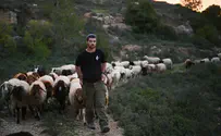צילום: יואב דודקביץ/TPS A look at the farm that defends Jerusalem from the south