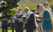 צפו: רבני הציונות הדתית בברכת האילנות