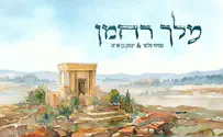 "מלך רחמן" בביצוע של עמיחי פלסר ובן ארזה