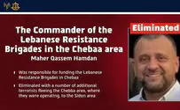 Senior terror commander killed in IDF strike in Lebanon