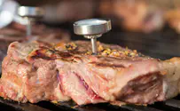 6 best wireless meat thermometers in 2026: pros & cons