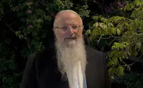 צילום: באדיבות המצלם The Rebbe on Redemption