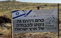 תושבי בית חג"י נטעו כרם חדש לזכר הנופלים