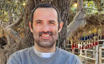 דור הברבורים השחורים