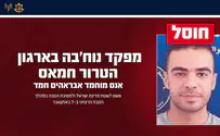 Ликвидирован террорист, участвовавший в резне на фестивале «Нова»
