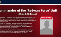 IDF confirms: Radwan Force commander eliminated