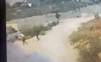 Watch: Suspects throw Molotov cocktails at main highway