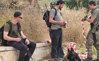 Israel Dog Unit Search resumes for man vanished bear Beit Shemesh