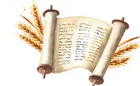 World Emunah Sivan: Anticipating receiving the Torah