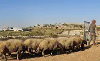 רצף יהודי היסטורי נרקם בין חברון לירושלים