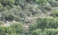 Police spokesperson Drone footage reveals: Illegal infiltrators' forest encampment