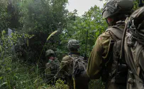 IDF spokesperson Israel concerned US-Iran agreement could limit IDF in Lebanon
