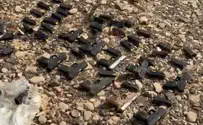 Police Spokesperson Extensive network for smuggling weapons and drugs uncovered