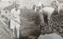 צילום: מתוך כריכת הספר כן, הם היו "דוסים"