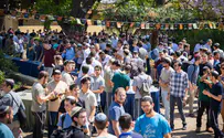 צפו: גלריית ענק מכנס אסופות