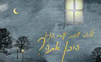 שלומי שבת ועמיר בניון בדואט ראשון