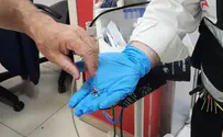 צילום: באדיבות המצלם משחק הילדים הפופולרי שהפך לסכנת חיים