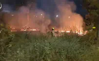 צפו: המהומות הליליות בבית שמש