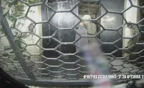 צילום: דובר צה"ל לוחמי דובדבן עצרו מחבלים רגע לפני פיגוע