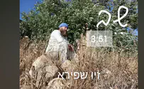 צילום: באדיבות המחבר זיו שפירא חושף את המסע הנפשי