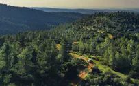 Saleet The luxury of being in harmony with nature