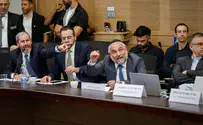 צילום: נועם מושקוביץ, דוברות הכנסת העימות החריף שהתפתח בוועדה