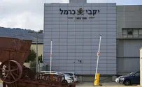 צילום: Michael Giladi/Flash90 המהלך שעלול לטלטל את יקבי כרמל