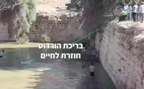 צילום: ענבל למברגר בני הנוער מחזירים חיים לבריכה