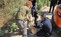 IDU Israel Dog Unit brings joy to special needs child in Samaria
