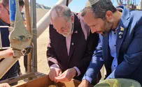 צילום: דוברות השגריר חיפש ממצאים מול המשכן