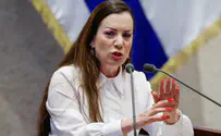 צילום: נועם מושקוביץ/דוברות הכנסת סופית: הכנסת אישרה חסינות לטלי גוטליב